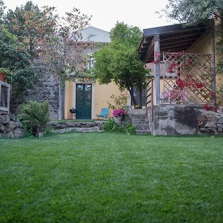 Il Pozzo E L'ulivo - Just 200 Meters From The Metro -